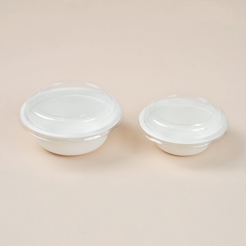 350ml Eco-friendly Disposable Pulp Paper Bowl Take Away Bagasse Plate