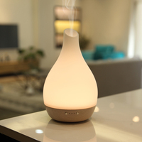 Chambre électrique parfum parfum parfum Aoils pur cheveux parfum Machine aromathérapie huile essentielle humidificateur à ultrasons diffuseur