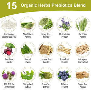 मेरा कारखाना ओएम प्री + प्रोबायोटिक कैप्सूल 22 उपभेदों 300b cfu 15 कार्बनिक जड़ी-बूटियाँ प्रीबायोटिक मिश्रण आंत समर्थन - Product Image 4