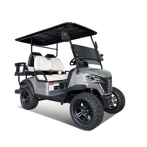 BETETEK Voiturette de golf électrique pure 2 places, compacte et facile à stationner, idéale pour les cours de golf privés et les routes non publiques - Product Image 2