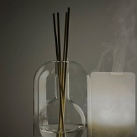 Bouteille de Diffusion en Verre Borosilicate Haut de Gamme, Décoration Maison Classique, Moderne et Exquise, Flacon Vide pour Parfum et Aromathérapie