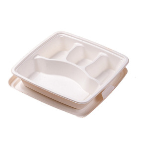 Natural White Color Bagasse Food tray 3 compartment Sushi Takeaway food Box