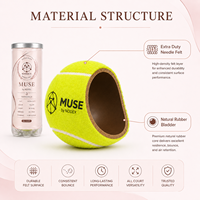 Balle de tennis Nodex MUSE, dernière version, extra résistante, en feutre et caoutchouc naturel, noyau pressurisé, rebond élevé, logo OEM, certification ITF.