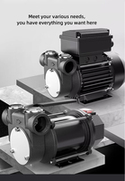 Pompe de transfert d'huile diesel électrique Seirna 12V 24V Pompe de haute qualité pour transfert d'huile diesel avec opération facile