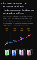 Bouilloire électrique à double chambre en acier inoxydable SS304 avec couvercle et corps en verre Bouilloire intelligente en verre avec Tuya Wifi ALICE Alexa