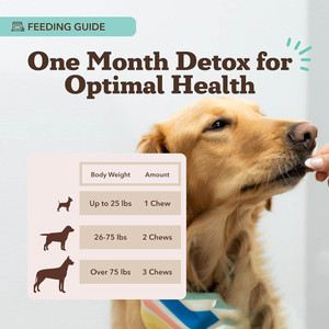 肝臓と腎臓の健康サプリメント 犬用ソフトチュア ミルクシスル クランベリー タンポポ根 ターメリック アストラガルス ヘルスケア ペットサプリメント - Product Image 5