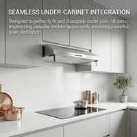 Extractor de humos de cocina delgado de pared, de acero inoxidable plateado, con motor potente, Color Origin
