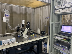 Hohe Präzision 0,1 ℃   Zweikanaliger Temperaturregler PCTC2001 für Patch-Klemmen- und Mikroskop-Experimente - Product Image 6
