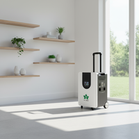Batterie solaire au lithium personnalisable, nouvelle et très vendue, système de stockage d'énergie tout-en-un, batterie LiFePO4