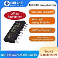 Chip de Reconocimiento de Voz Serie NRK3116X, Fabricante OEM para Dispositivos Inteligentes, Solución de Chip de Voz