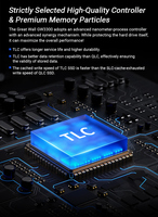 Great Wall GW3300 NVMe M.2 2280 PCIe Gen3 SSD 128GB-2TB 3D NAND TLC hingga 3300MB/s Kecepatan Baca Internal untuk Desktop/Laptop