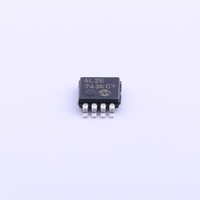 Yeni Orijinal MCP6L2T Lineer Amplifikatör IC Çipi MSOP-8 Entegre Devre, Amplifikatörler ve Karşılaştırıcılar için Stokta