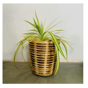 Cesto de Basura Ecológico de Bambú con Tejido Artesanal Natural para Baño, Dormitorio, Espacio de Trabajo, Esquinas de Cocina y Decoración - Product Image 6