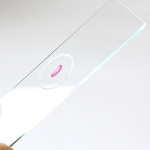 Portaobjetos biológicos de alto índice de refracción son materiales didácticos típicos para observar lamelas claramente estructuradas; biológicos - Product Image 3