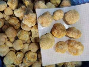 פטריות מחיר של מיובש פום פום פטריות - Product Image 6