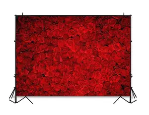 7x 5英尺乙烯基布料2月14日背景红玫瑰花卉婚纱摄影背景情人节派对照片背景