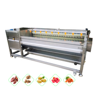 Automatische Groentehuidborstel Wasschiller Machine Voor Het Schillen Van Aardappelen Cassave Zoete Aardappel Wortelbiet