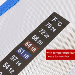 <span class=keywords><strong>Bomba</strong></span> médica protectora para diabéticos, estuche de Eva con pantalla de termómetro - Product Image 5