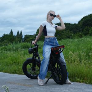 Phare de vélo électrique à double suspension résistant à la corrosion Vélo électrique pour adultes Randonnée hivernale - Product Image 5