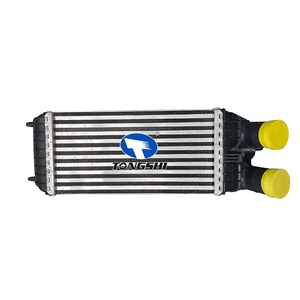 OEM 0384.N7 TONGSHI <span class=keywords><strong>Intercooler</strong></span> Core Universal <span class=keywords><strong>Intercooler</strong></span> pour citroën <span class=keywords><strong>C3</strong></span> II <span class=keywords><strong>C3</strong></span> Picasso DS3 Peugeot 207 208 301 - Product Image 1