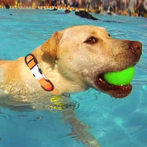 Personalizada <span class=keywords><strong>Collar</strong></span> de perro <span class=keywords><strong>Collar</strong></span> grabado con nombre personalizado impermeable de PVC respetuoso del medio ambiente cuello de perro anillo ajustable <span class=keywords><strong>Collar</strong></span> de perro - Product Image 6