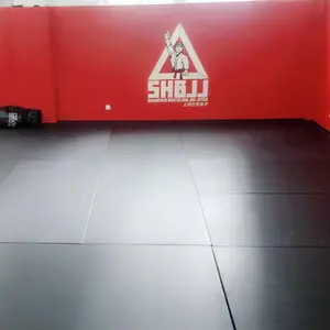 Jiu jitsu matras atau tatame & seni bela diri Karate Judo Kick Boxing Gym judo tatami mat