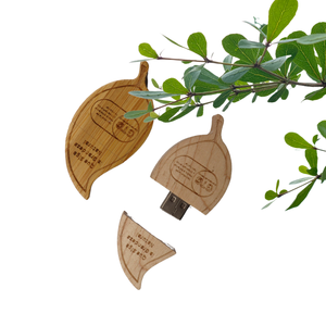 Gỗ USB Đĩa 1GB 2GB 4GB 8GB 16GB khuyến mãi USB Đĩa <span class=keywords><strong>Memory</strong></span> Stick độc đáo lá hình dạng bằng gỗ USB <span class=keywords><strong>Flash</strong></span> Drive - Product Image 6