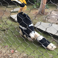 Maille de fil pour volière de perroquets / Panneaux de maille pour volière d'oiseaux / Maille de volière en acier inoxydable pour volière accessible