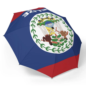 Parapluie pliable avec drapeau du Belize, ouverture/fermeture automatique, résistant au vent, anti-UV, parapluie de pluie portable, parapluies pliants de voyage et panneaux personnalisés, nouveauté - Product Image 3