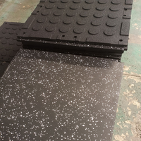 Tapis de sol en caoutchouc composite pour salle de sport, épaisseur 20 mm, anti-bruit, amortissant, résistant à l'usure, antidérapant pour l'entraînement musculaire et les sports