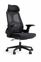 Chaise de bureau ergonomique à dossier haut en maille avec fonctions réglables pour le bureau à domicile, design moderne