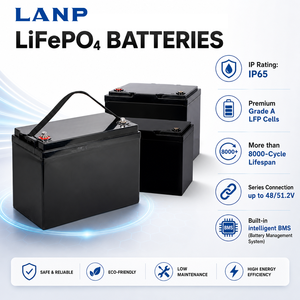 Serie de Celdas de Batería de Litio Hierro de Bajo Voltaje 51.2V 3kWh 5kWh 10kWh 15kWh 25.6V para Sistema Solar Híbrido de Almacenamiento de Energía Doméstica - Product Image 5