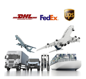 Envío Marítimo DDP desde China a Pakistán, Estados Unidos, Canadá, México y Arabia Saudita a través de LCL + Express con Seguro - Product Image 4