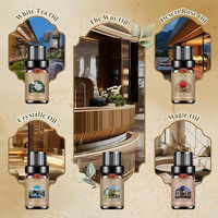 Lot de 10 Huiles Parfumées de Qualité Alimentaire pour Hôtels, Parfum de Luxe 5ml x 10 pour Diffuseur, Hall, Spa, Chambre, Coffret Cadeau, Certifié ISO, OEM