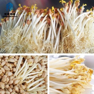 Máquina Automática para <span class=keywords><strong>Germinar</strong></span> Brotecitos de Frijol, Germinadora Comercial de Frijol Mungo y <span class=keywords><strong>Soja</strong></span>, Equipo Inteligente de Germinación con Control Climático - Product Image 6