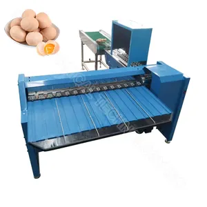Egg cleaning and grading machine eggs sorting stamping mini egg grader