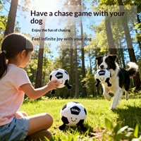Jouet pour animaux de compagnie en peluche en forme de ballon de football avec son simulé, pour la mastication et le nettoyage des dents, stimulant et anti-ennui pour chiens, vente en gros