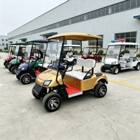 Voiturette de golf électrique 2 places 60V Lithium, buggy de golf 4KW à moteur haute puissance, mini-voiture pour adultes