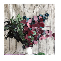 Feuilles d'eucalyptus séchés, 10 pièces, de haute qualité, plantes décoratives, naturelles