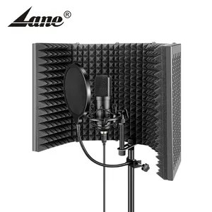 Lane D-1 Metal Portable Ce Gift Box New Design Condenser Professional Bm 800 Microphone Acoustic Shield Black Packing 1pcs