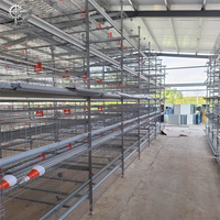 Équipement automatique en acier galvanisé pour poules pondeuses en batterie, cages pour poulets de ferme avicole, vente chaude