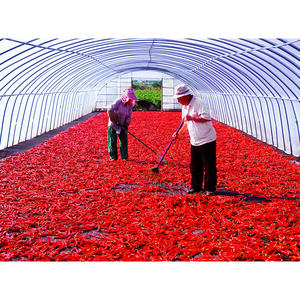 [Biggalchan 130g] Épice certifiée sûre et propre pour l'industrie alimentaire, processus HACCP, assaisonnement en vrac, flocons de piment rouge - Product Image 1