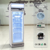 Congélateur vitrine verticale à porte vitrée, mécanique, pour sections surgelées de minimarchés, -22°C, étagères réglables, usage commercial