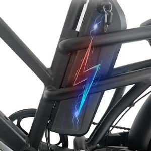 Vélo électrique de <span class=keywords><strong>sport</strong></span> à moteur Mulit 48V 750W, frein à disque, pneu 20*4 '', vélo électrique bon marché à vendre - Product Image 2