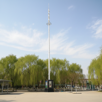 TIA-222-G Poteau d'éclairage public intelligent LED 5G/4G LTE avec support de caméra CCTV - 15M-200M Acier galvanisé à chaud Origine Hebei