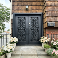 Porte d'entrée de villa en acier forgé avec panneau en verre, style français, sur mesure, revêtement poudré