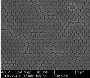 Perlas fluorescentes de lantánido de alta uniformidad, larga vida útil de fluorescencia para aplicaciones IVD - Product Image 5