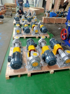 Pompe à huile chaude centrifuge résistante aux hautes températures pour 350 degrés - Product Image 4