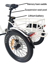 Triciclo Plegable de Alta Calidad de 20 Pulgadas con Batería Extraíble, Bicicleta de 3 Ruedas, Triciclo Eléctrico para la Familia - Product Image 3