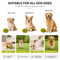 Jouet dentaire pour chien en forme de durian, prêt à l'emploi, avec une texture TPR douce et ferme, pour les chiens las et le jeu quotidien des molaires